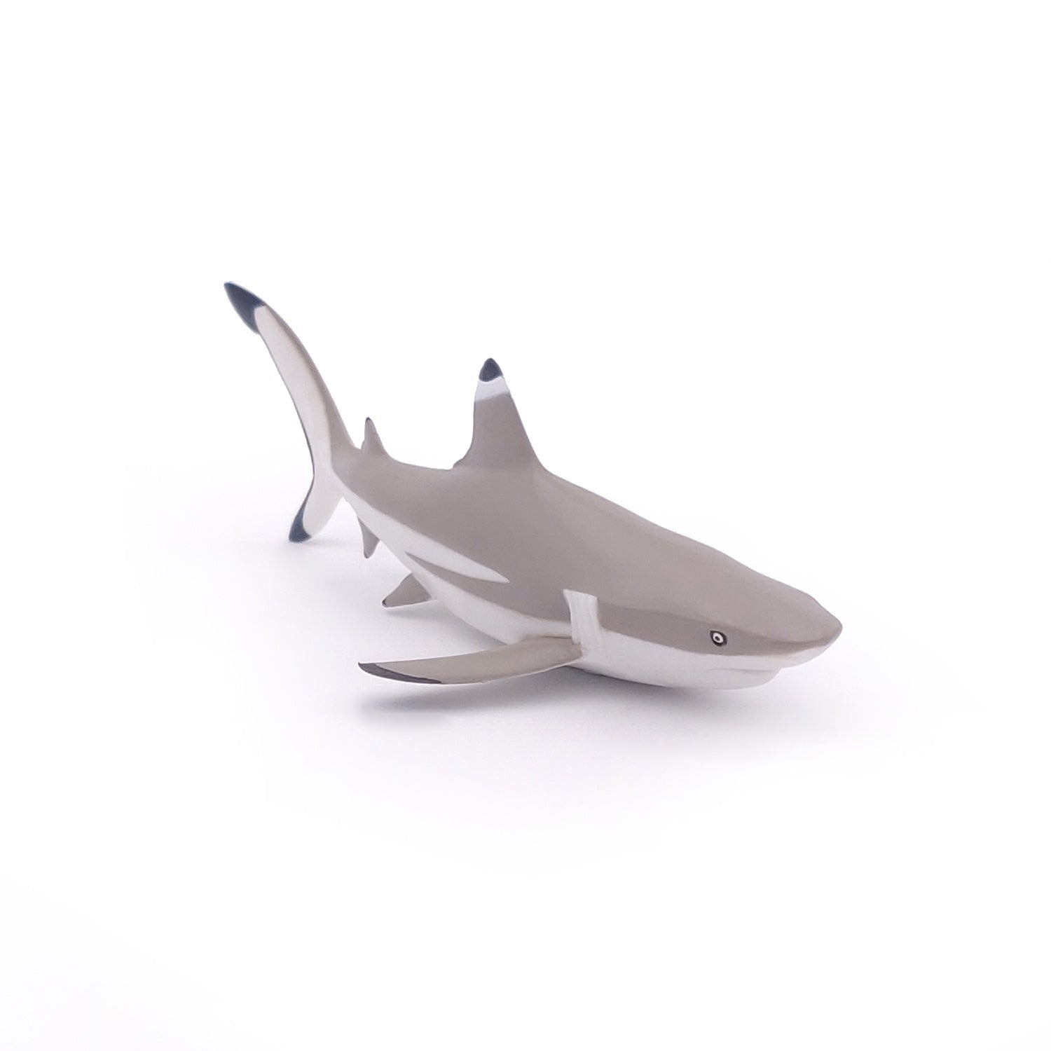 Figurine Requin à pointes noires Papo - animal marin