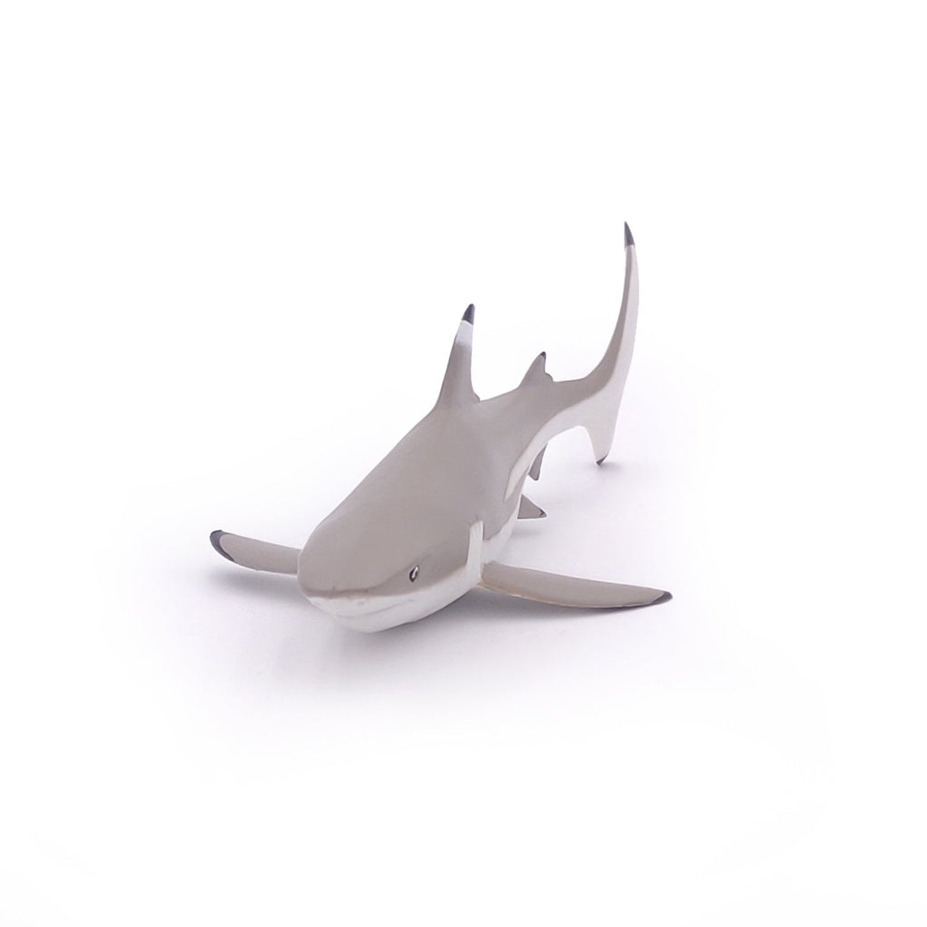 Figurine Requin à pointes noires Papo - animal marin