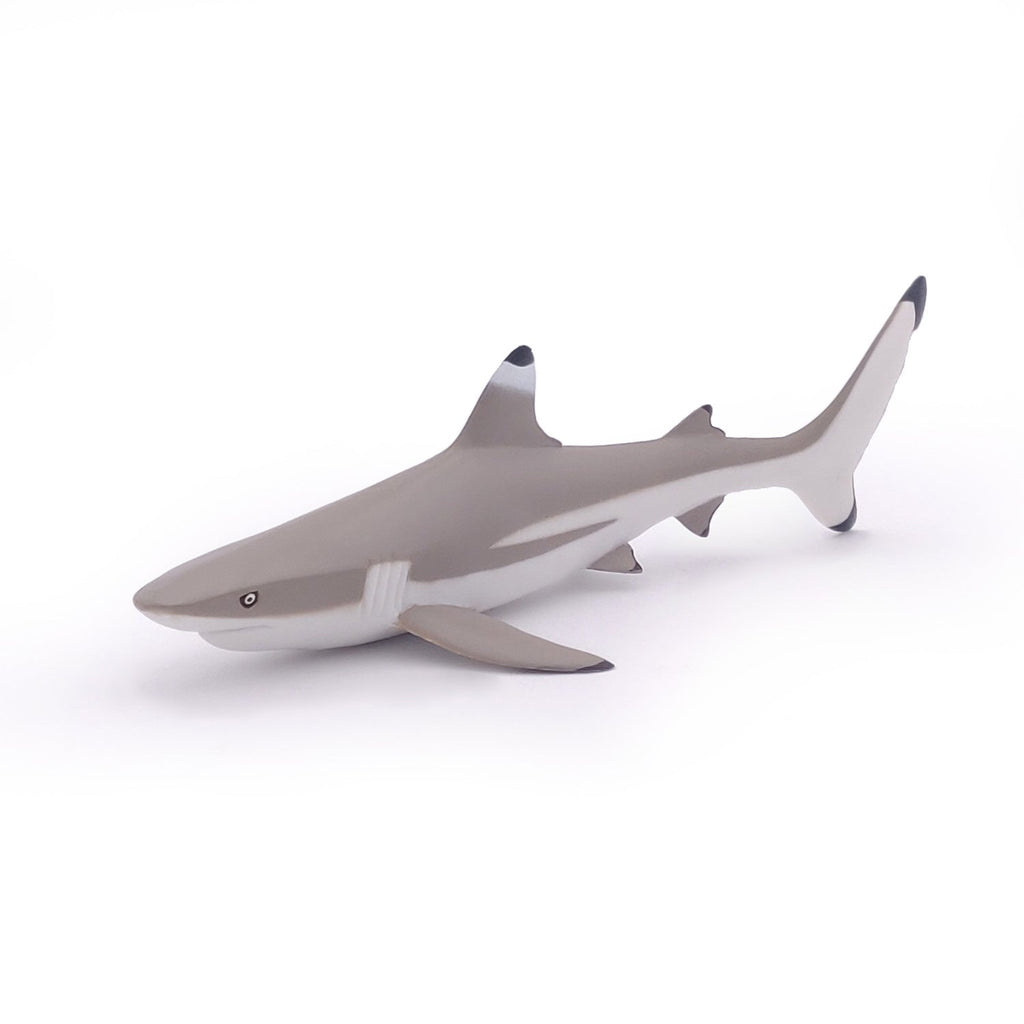Figurine Requin à pointes noires Papo - animal marin