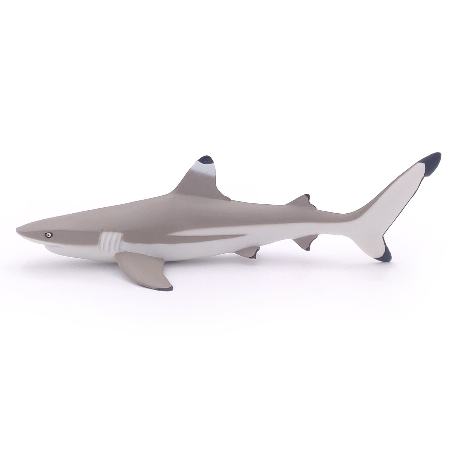Figurine Requin à pointes noires Papo - animal marin