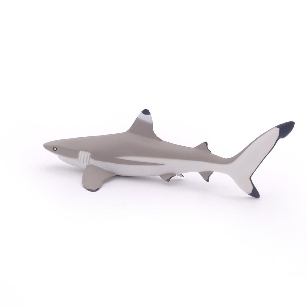 Figurine Requin à pointes noires Papo - animal marin