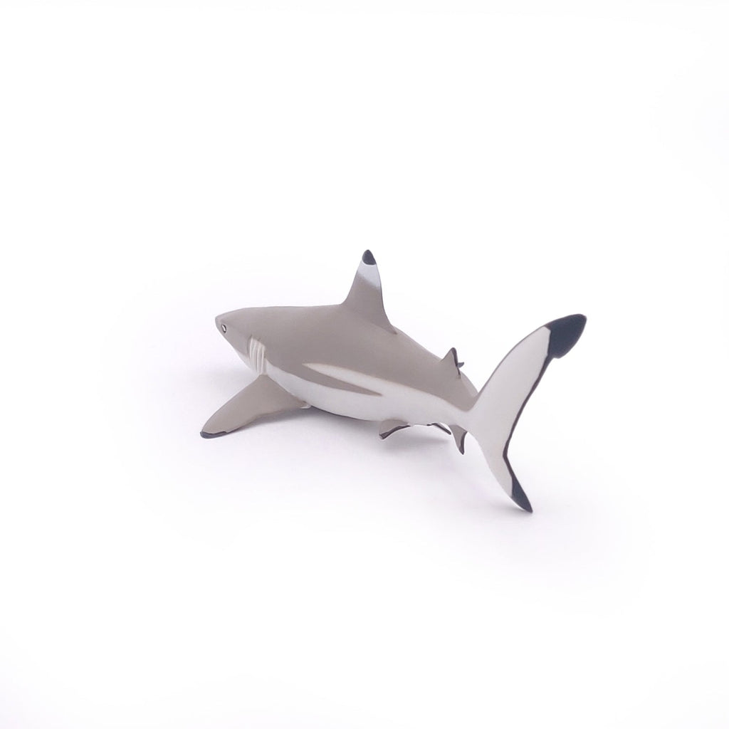 Figurine Requin à pointes noires Papo - animal marin