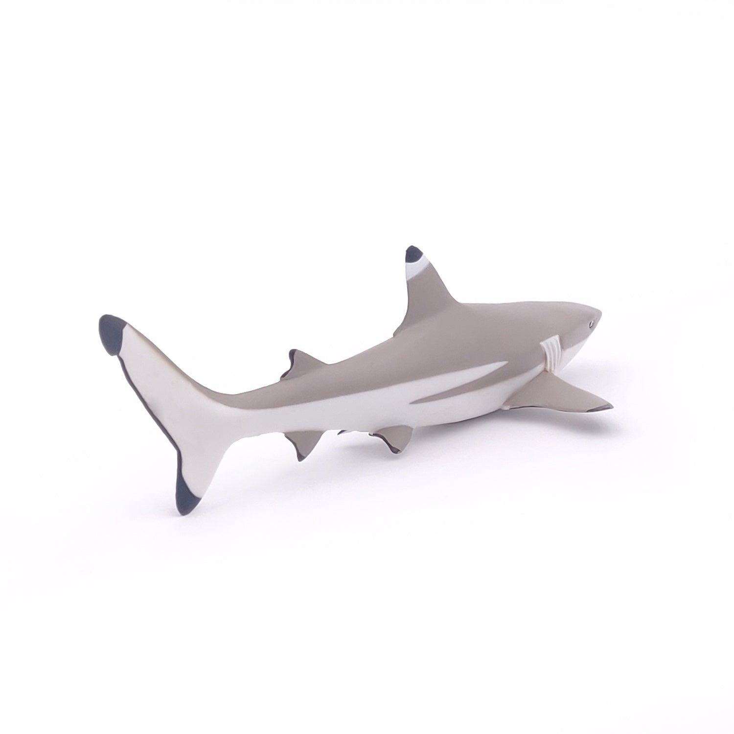Figurine Requin à pointes noires Papo - animal marin