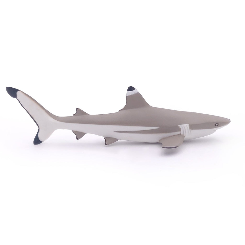 Figurine Requin à pointes noires Papo - animal marin