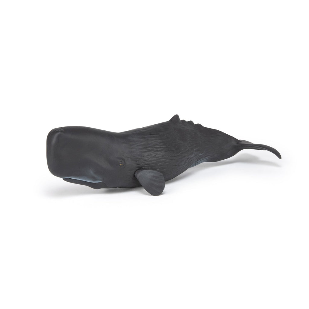 Figurine Cachalot Papo - animal marin
