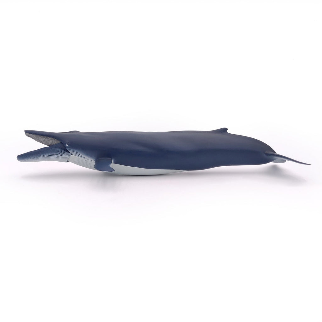 Figurine Baleine bleue Papo - animal marin