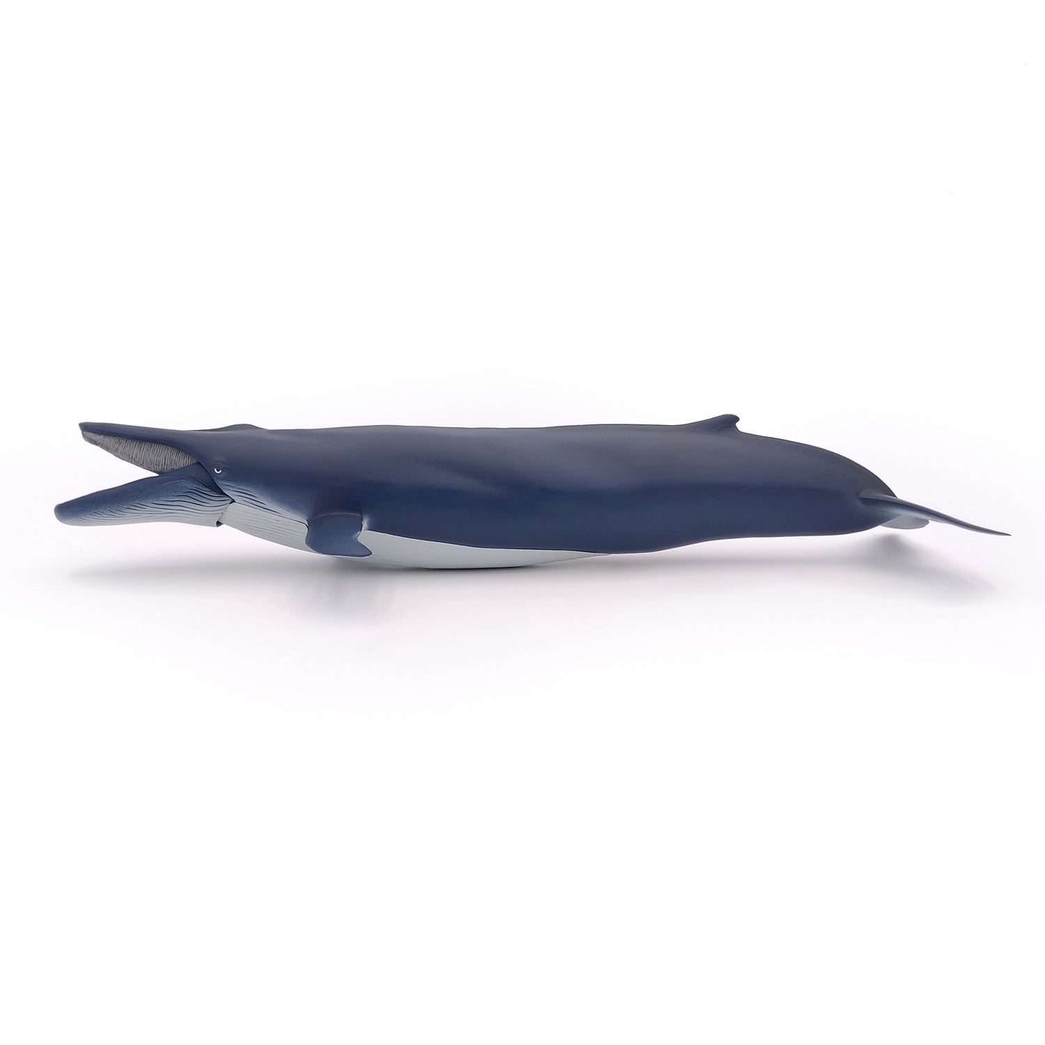 Figurine Baleine bleue Papo - animal marin