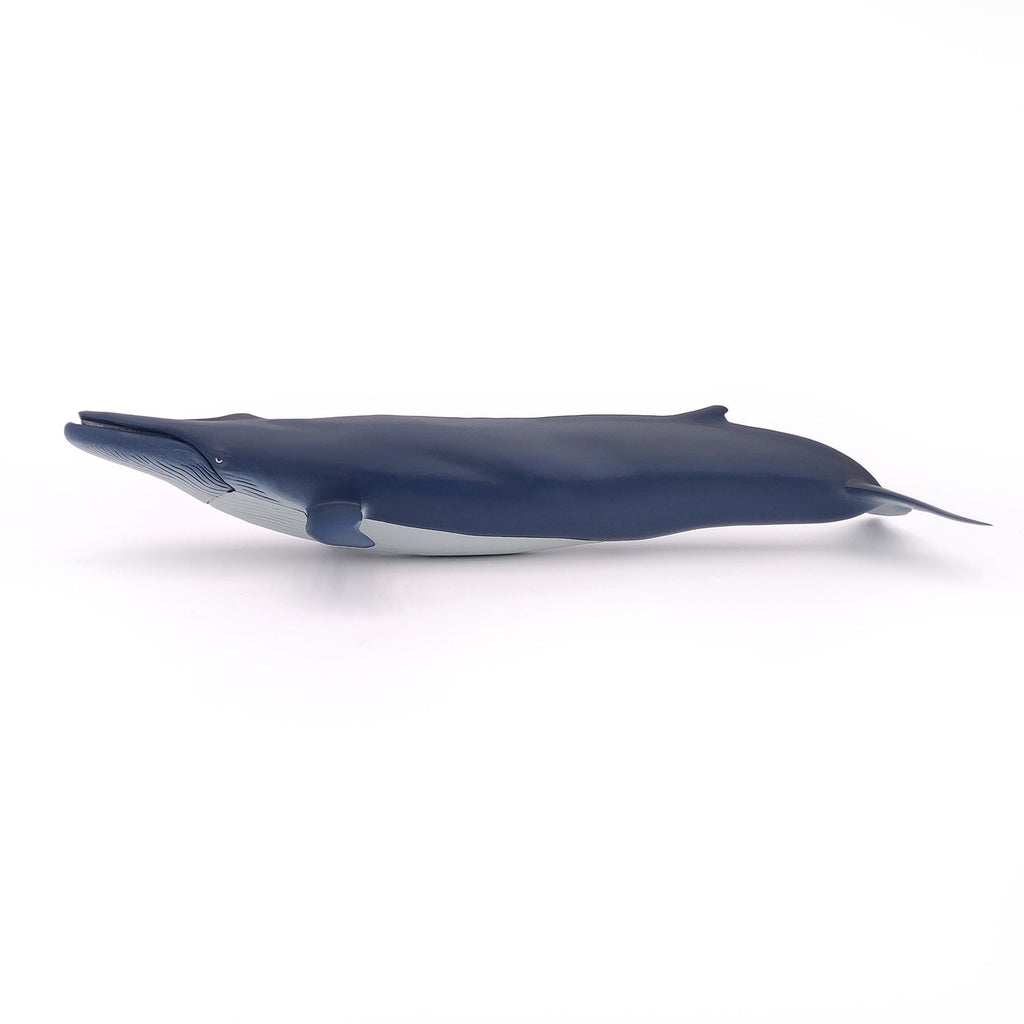 Figurine Baleine bleue Papo - animal marin