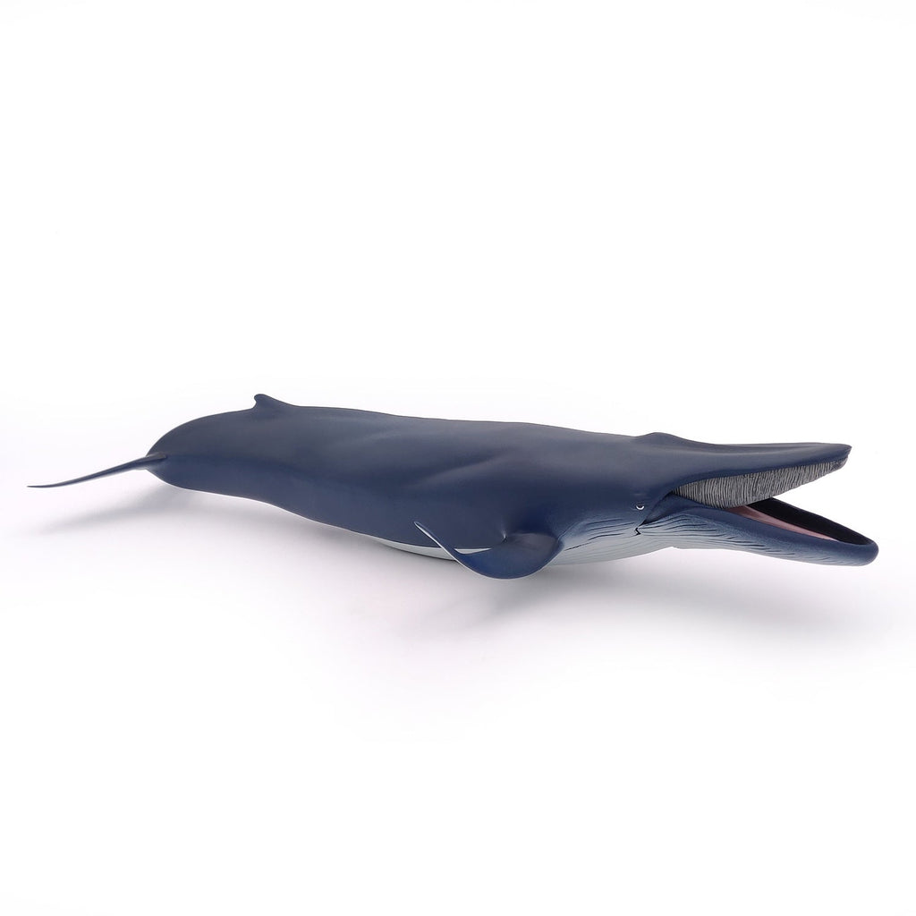 Figurine Baleine bleue Papo - animal marin