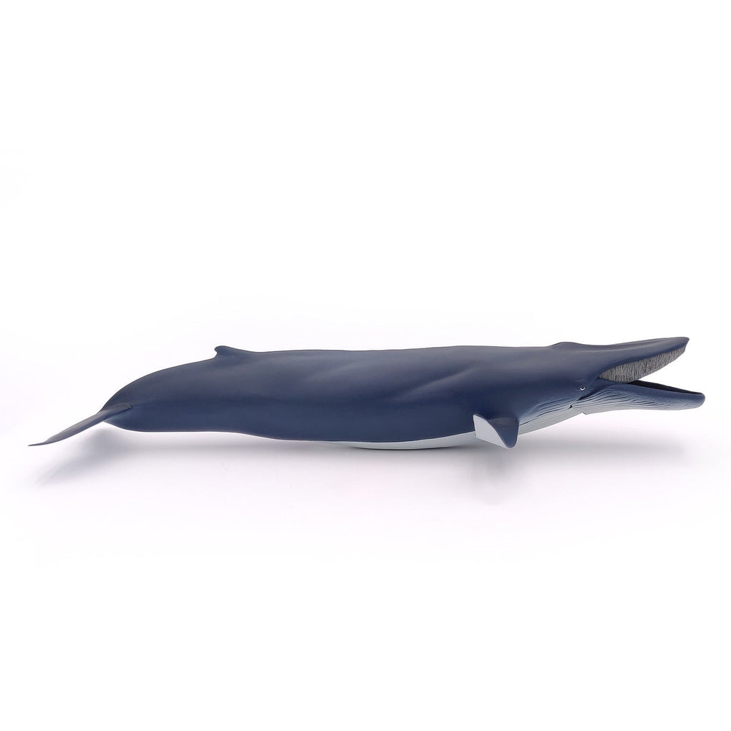 Figurine Baleine bleue Papo - animal marin