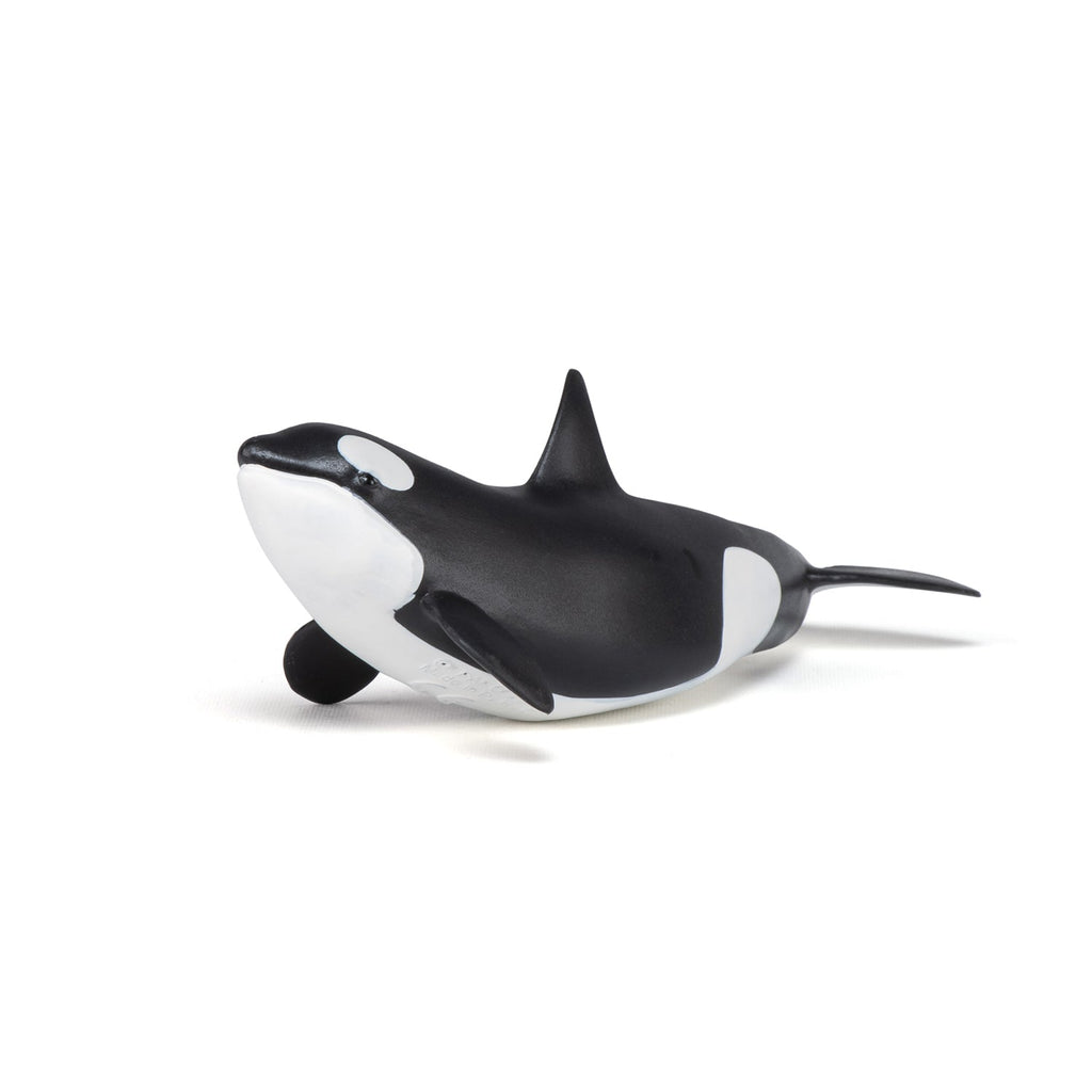 Figurine Bébé orque Papo - animal marin