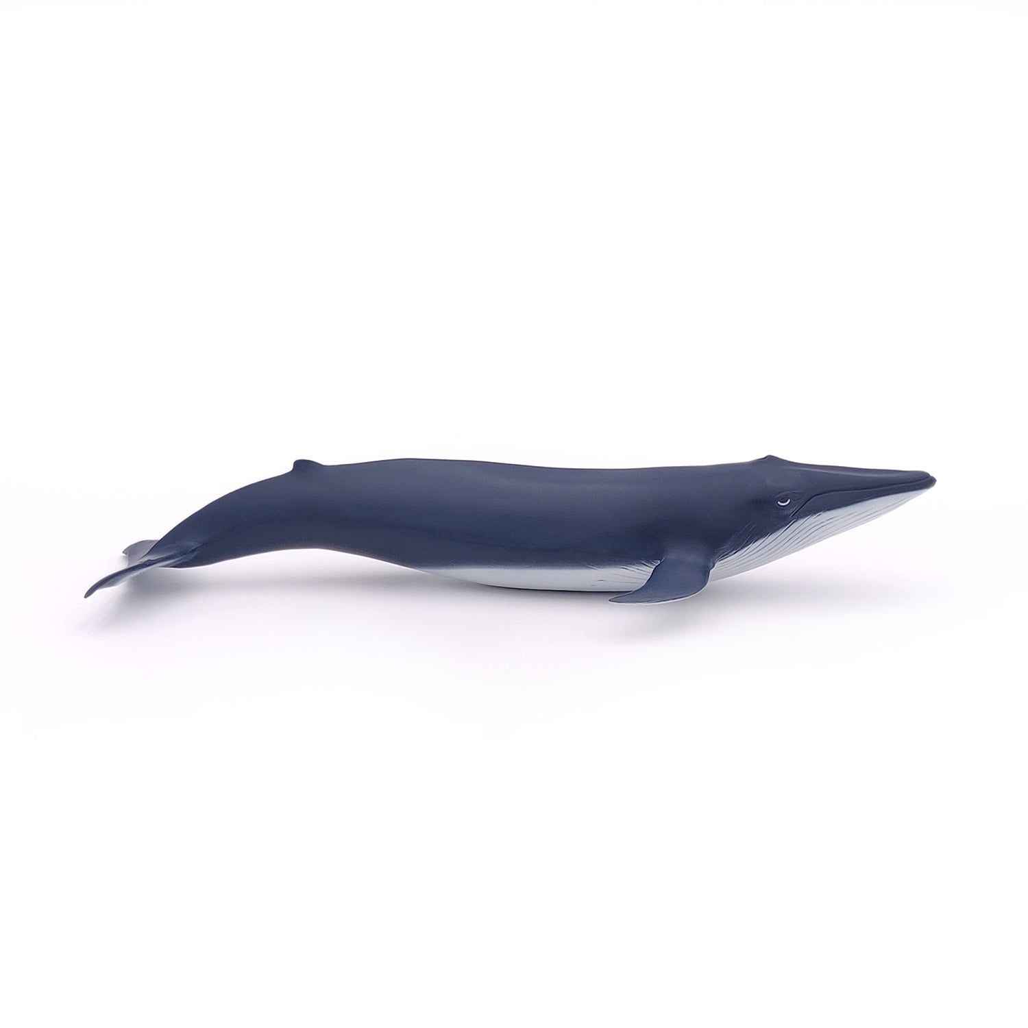 Figurine Bébé baleine bleue Papo - animal marin