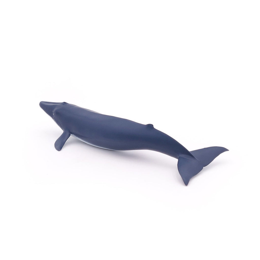 Figurine Bébé baleine bleue Papo - animal marin
