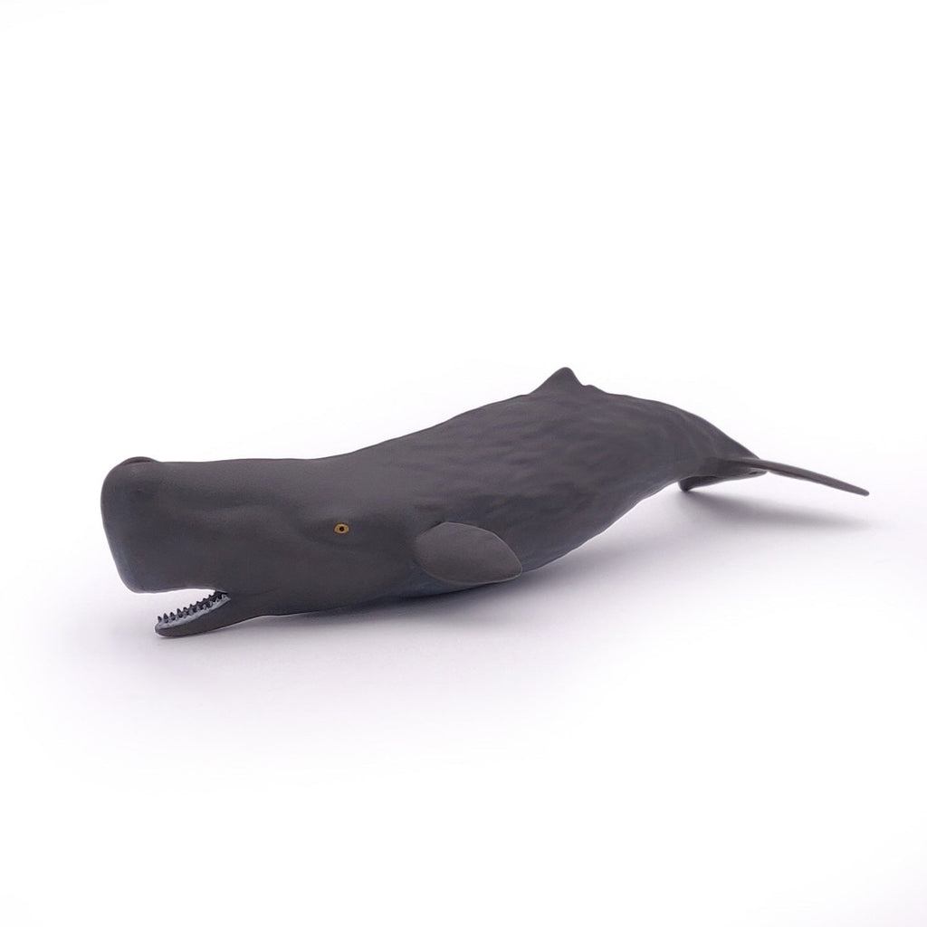 Figurine Bébé cachalot Papo - animal marin