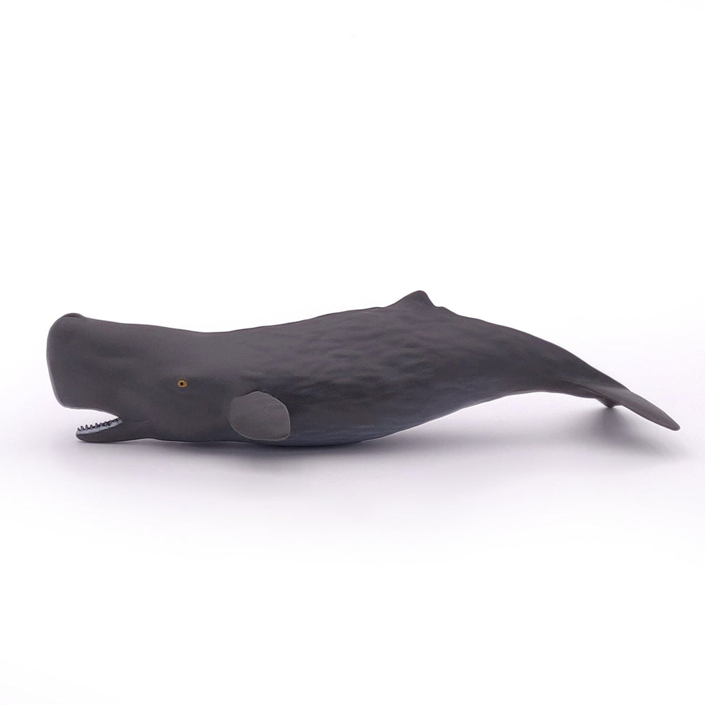 Figurine Bébé cachalot Papo - animal marin