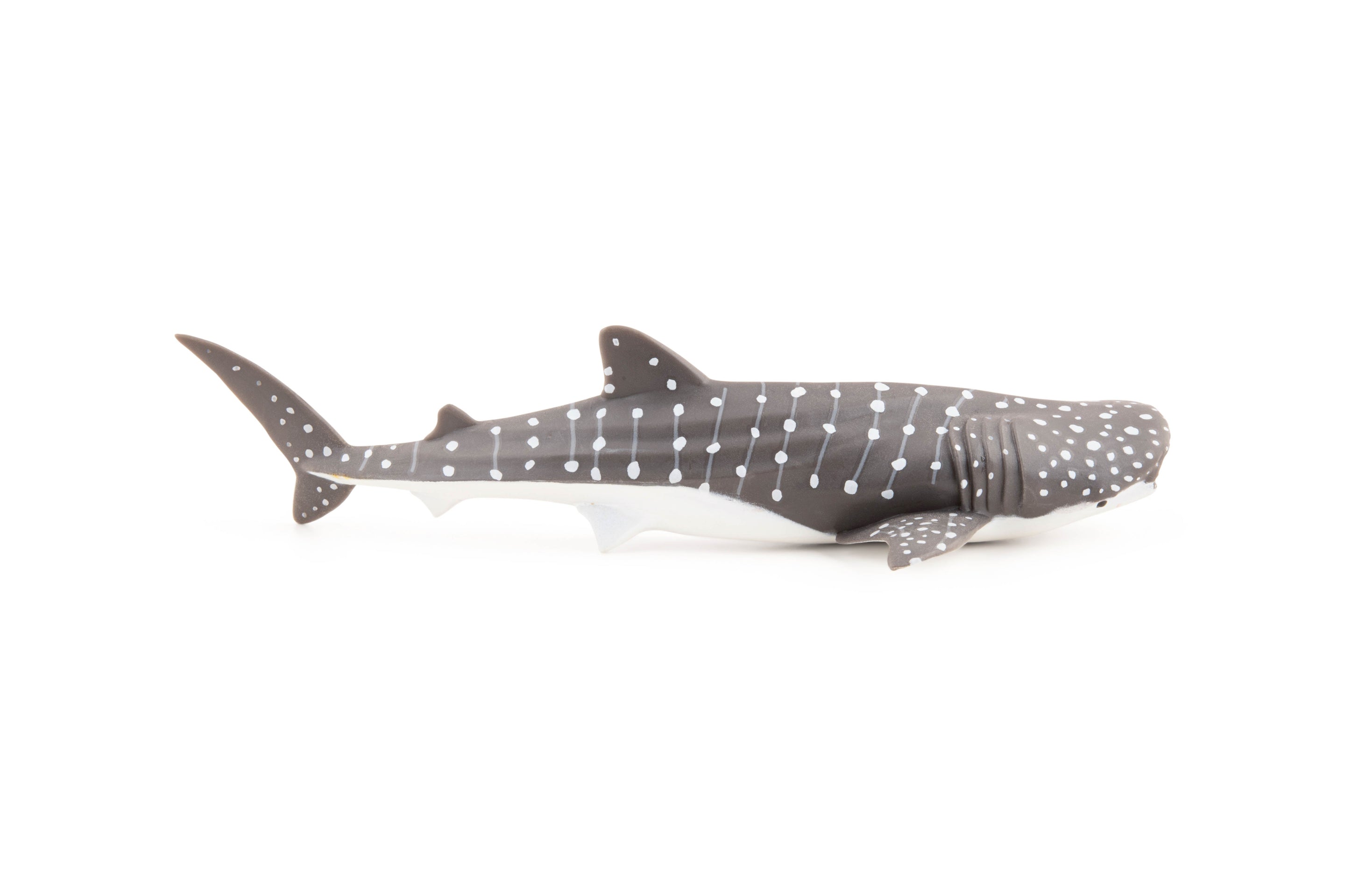 Figurine Jeune requin baleine Papo - animal marin