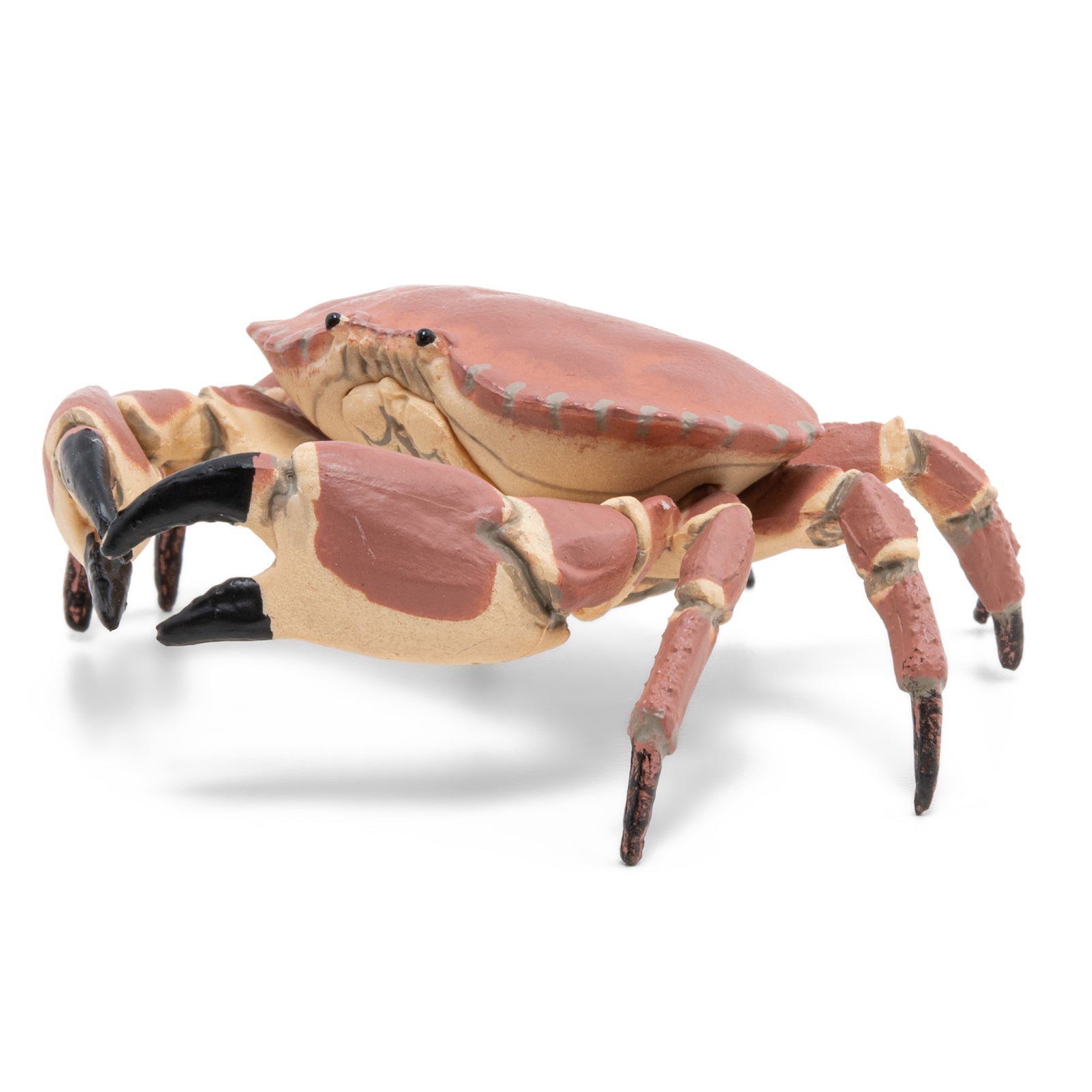 Figurine Crabe Papo - animal marin
