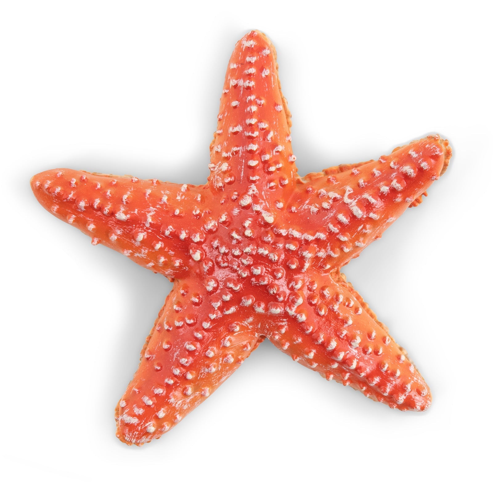 Figurine Etoile de mer Papo - animal marin