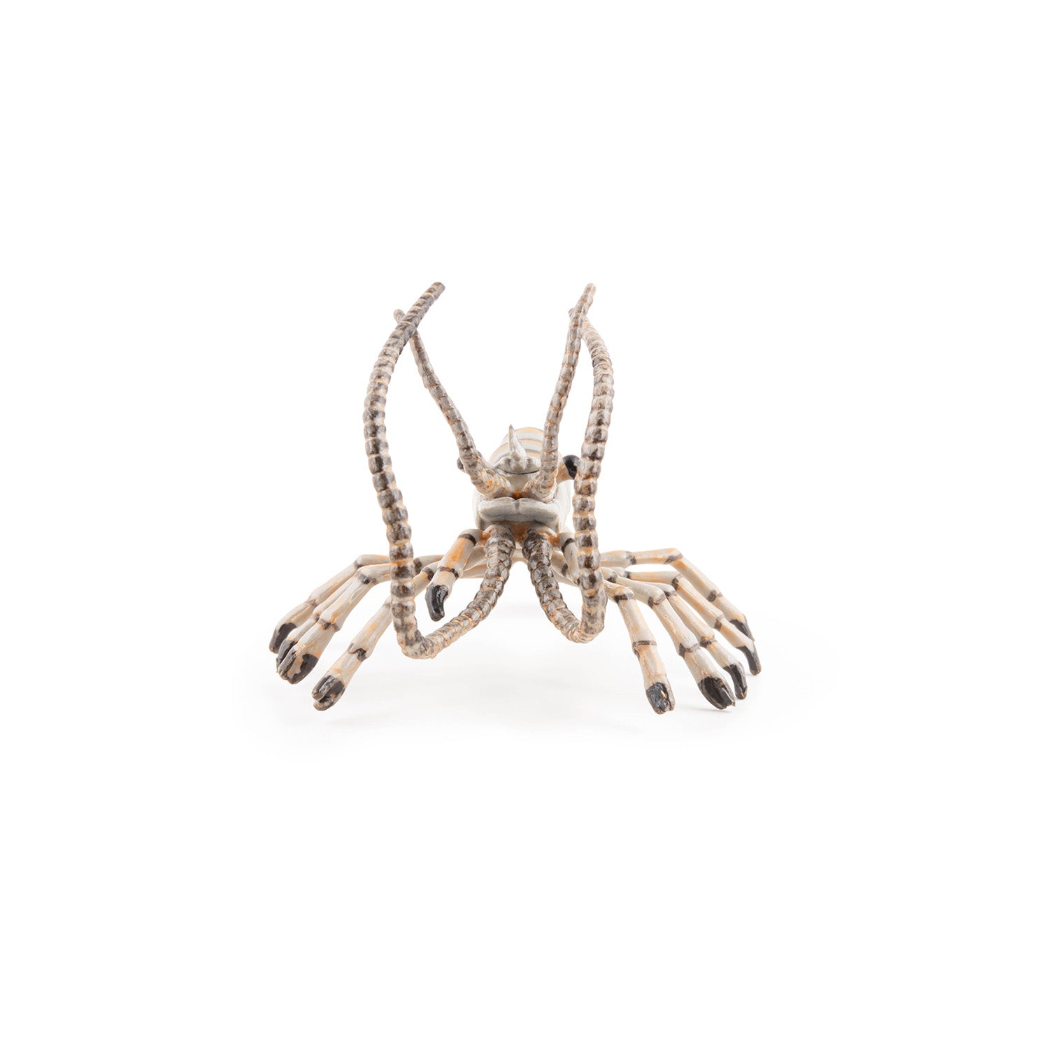 Figurine Crevette Papo - animal marin