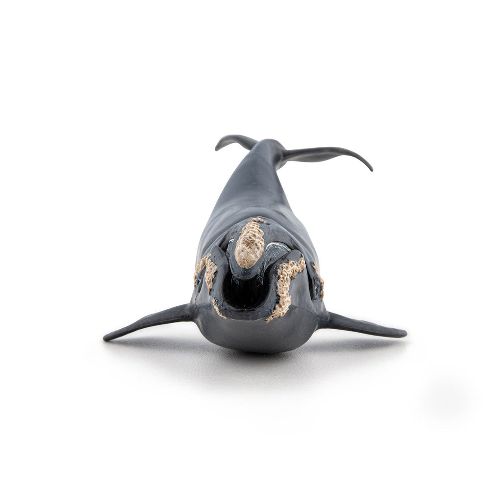 Figurine Baleine franche Papo - animal marin