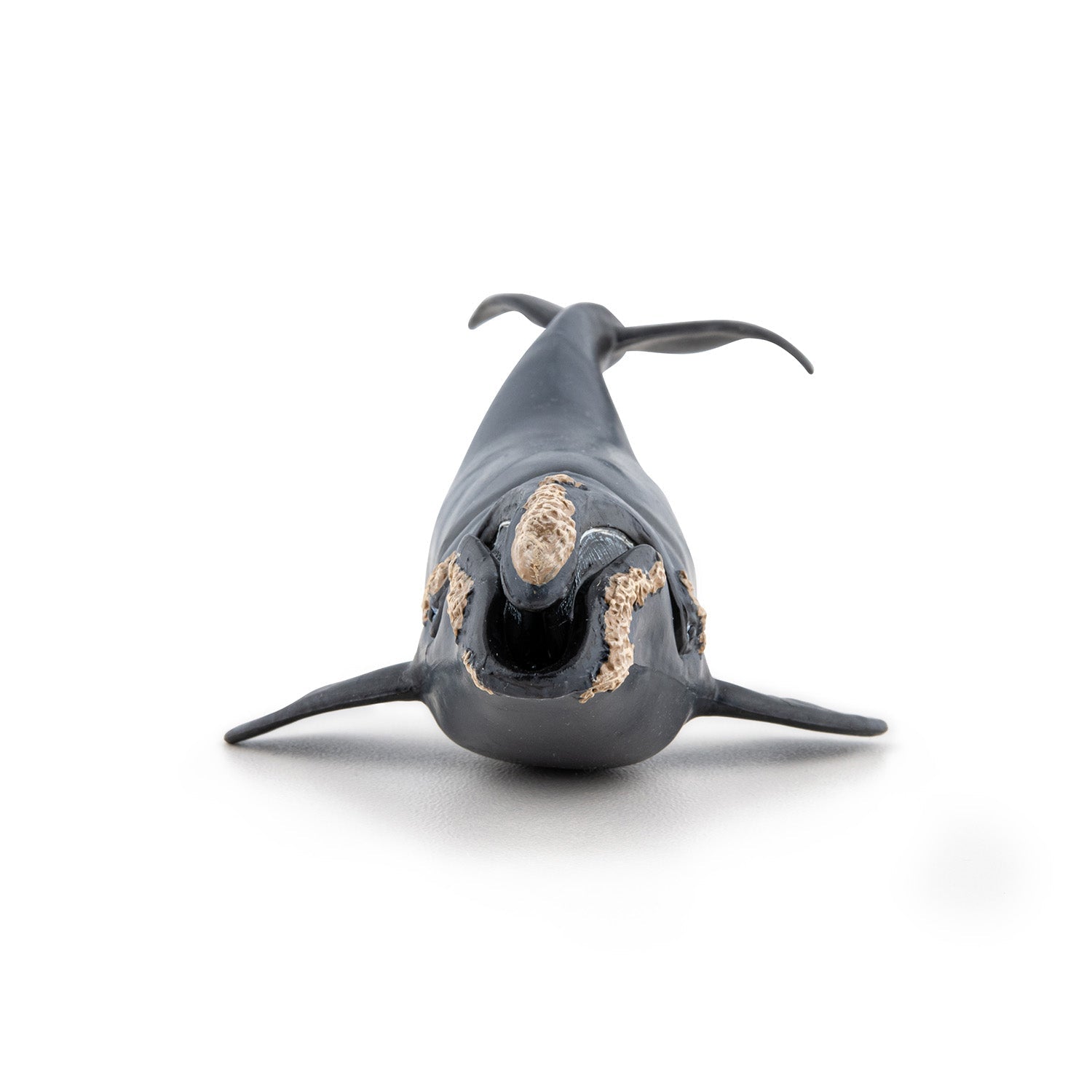 Figurine Baleine franche Papo - animal marin