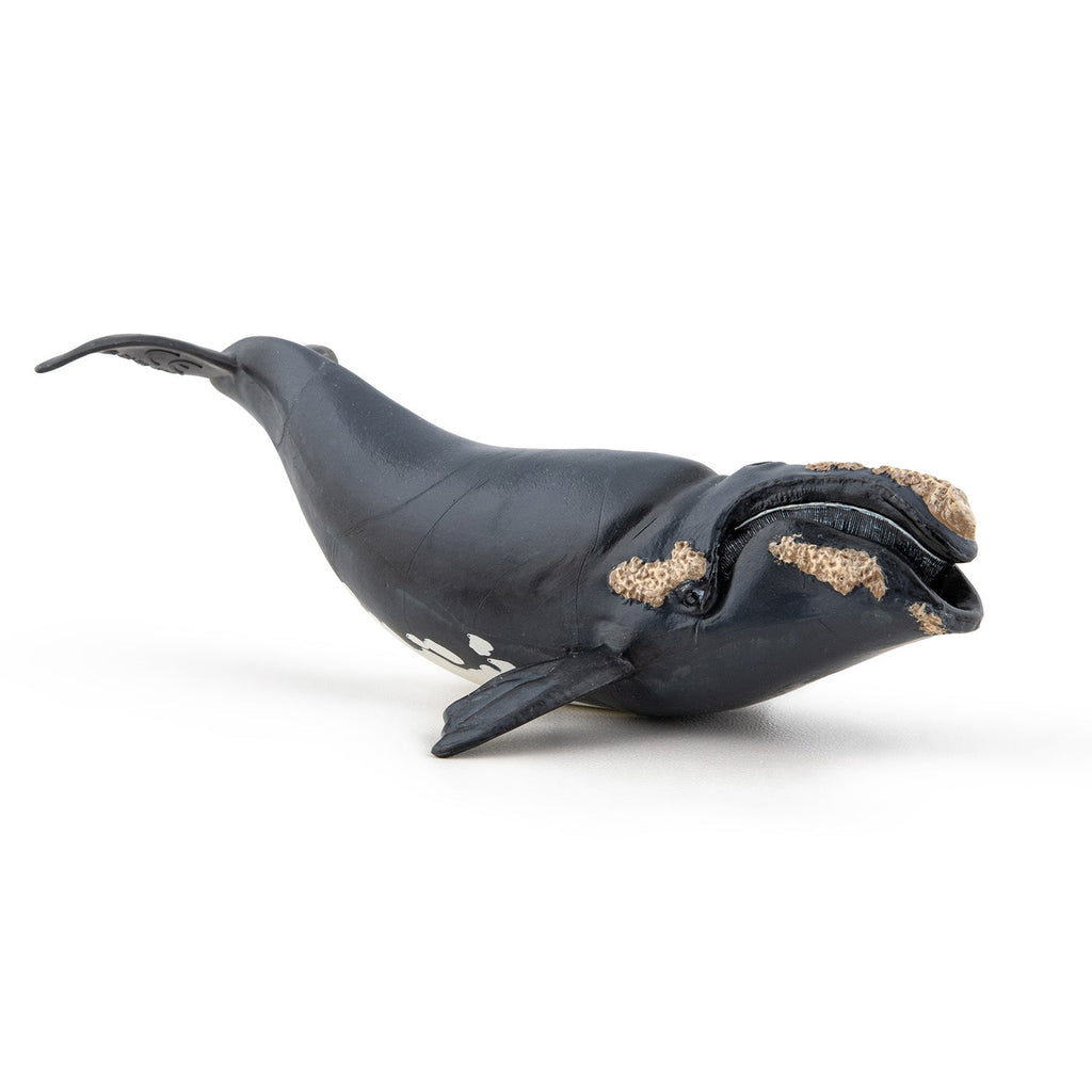 Figurine Baleine franche Papo - animal marin