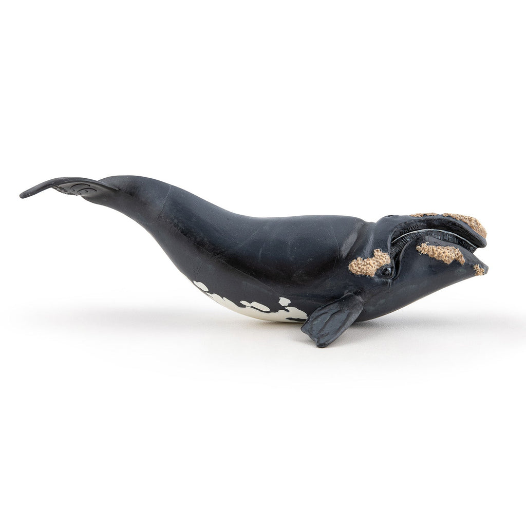 Figurine Baleine franche Papo - animal marin