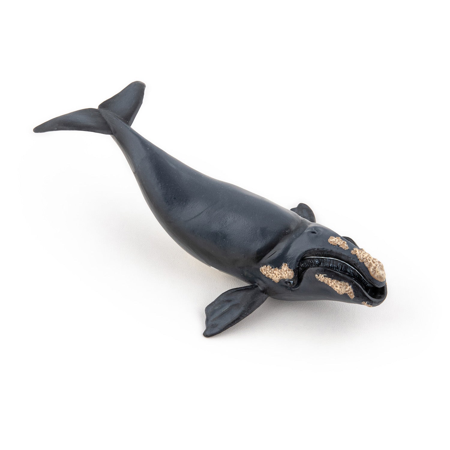 Figurine Baleine franche Papo - animal marin