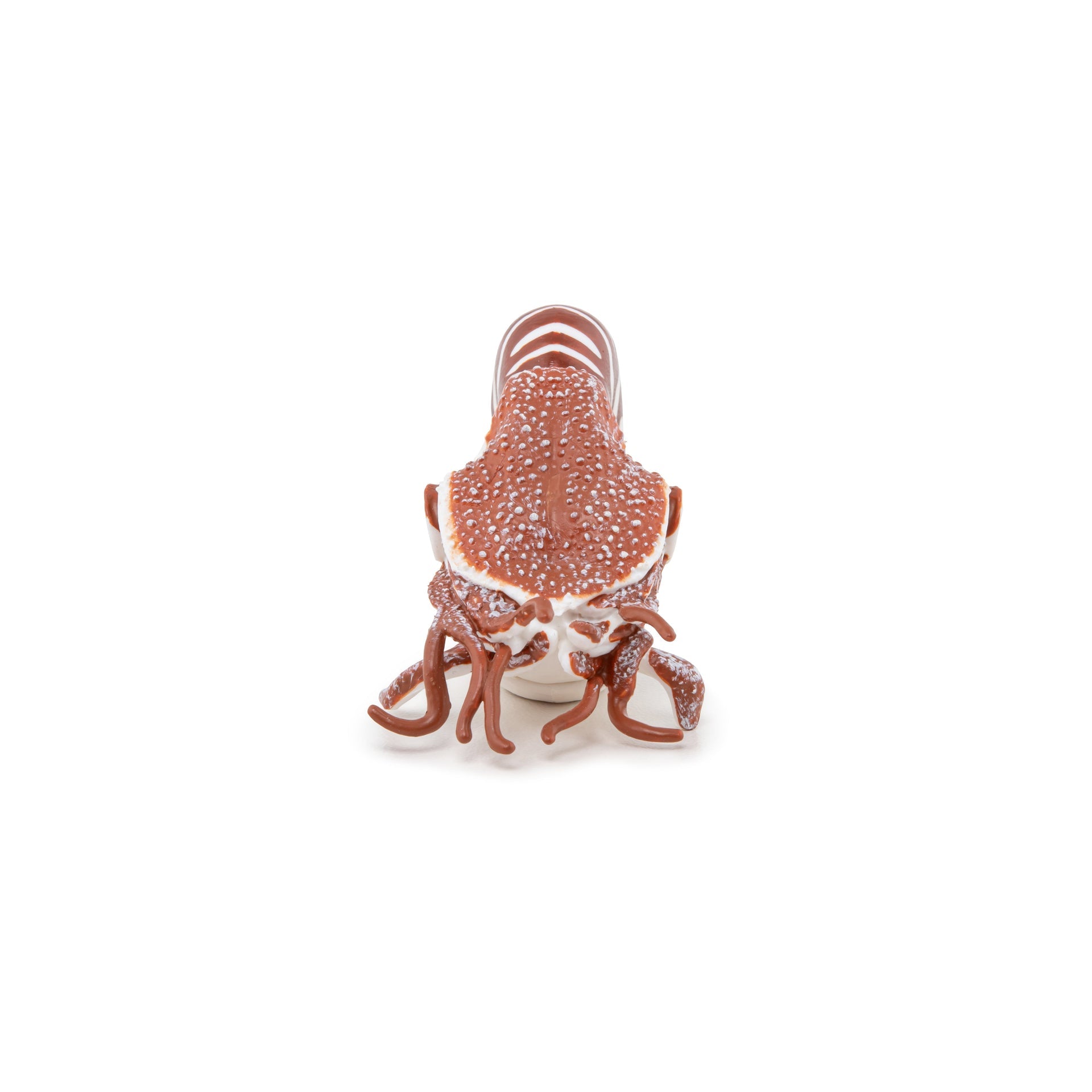 Figurine Nautile Papo - animal marin