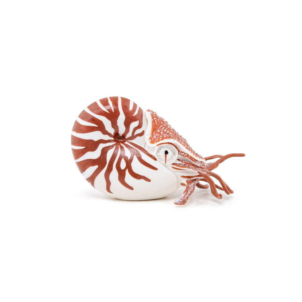 Figurine Nautile Papo - animal marin