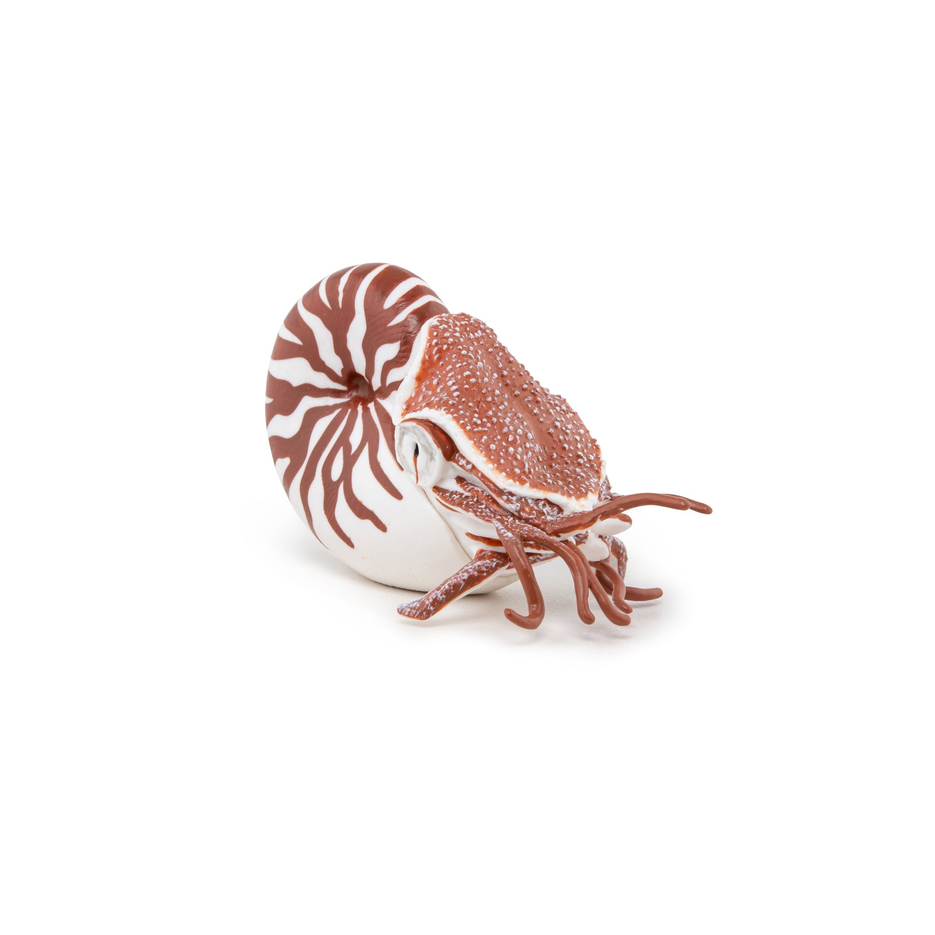 Figurine Nautile Papo - animal marin
