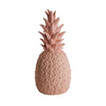 Ananaslampe „Die Piñacolada-Lampe“