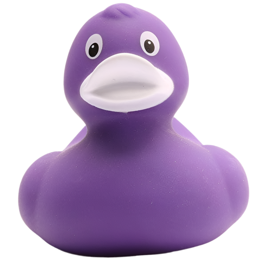 canard classique violet