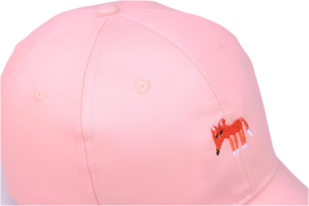 casquette renard brode mr colvert 