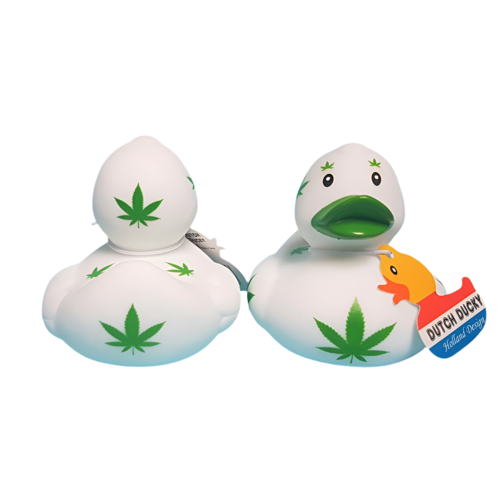 Cannabis de pato
