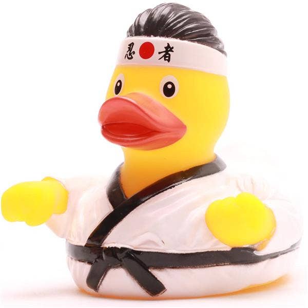 Canard Karaté