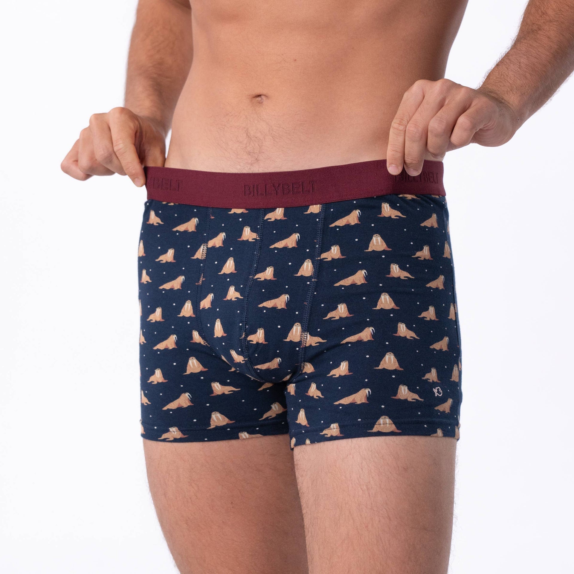 Boxer En Coton Biologique - Freya