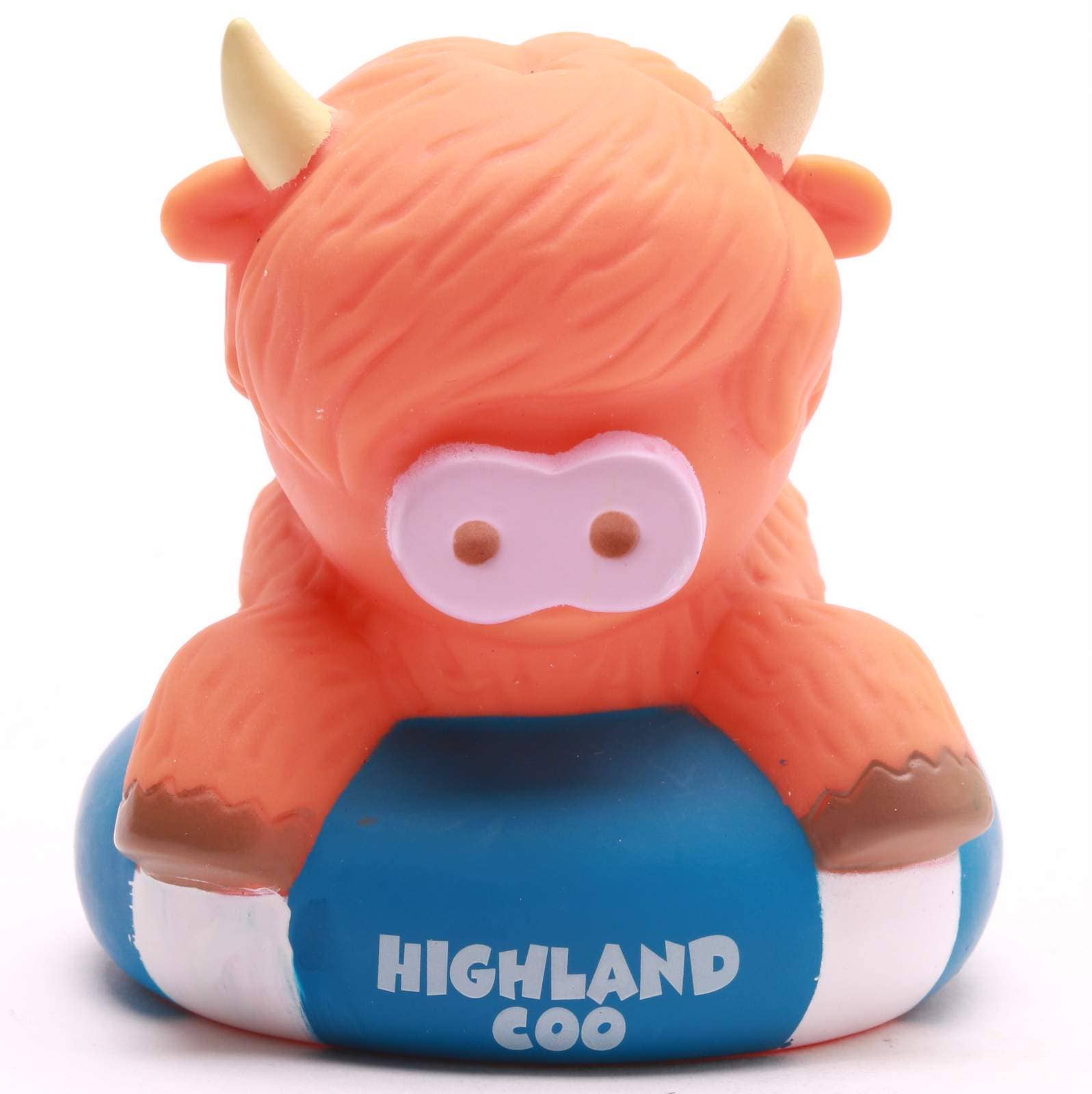 Highland-Kuh auf Boje