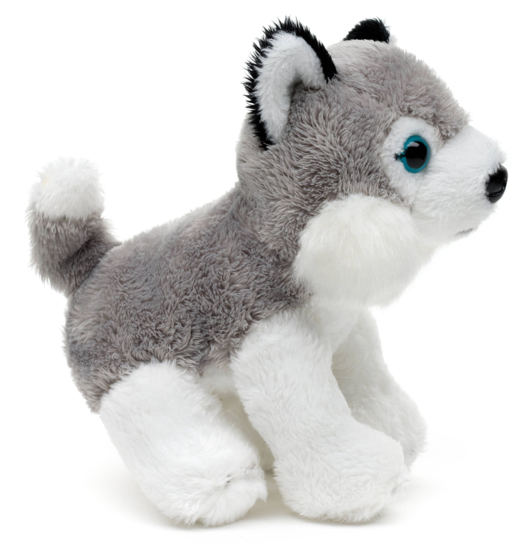 Peluche Husky Assis Uni Toys