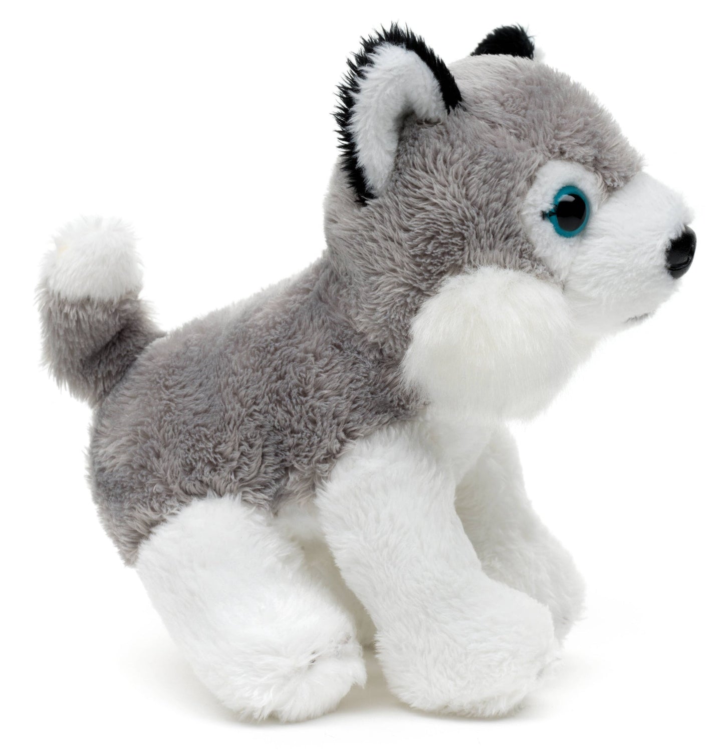Peluche Husky Assis