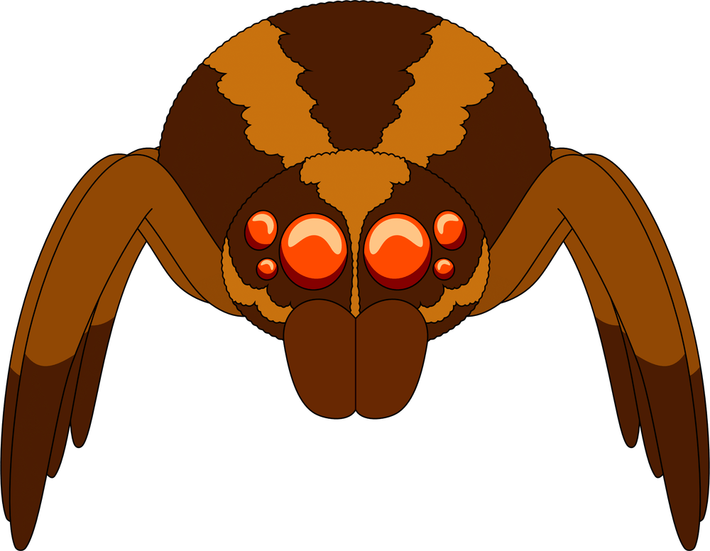 Wolf Spider Plush (9in)
