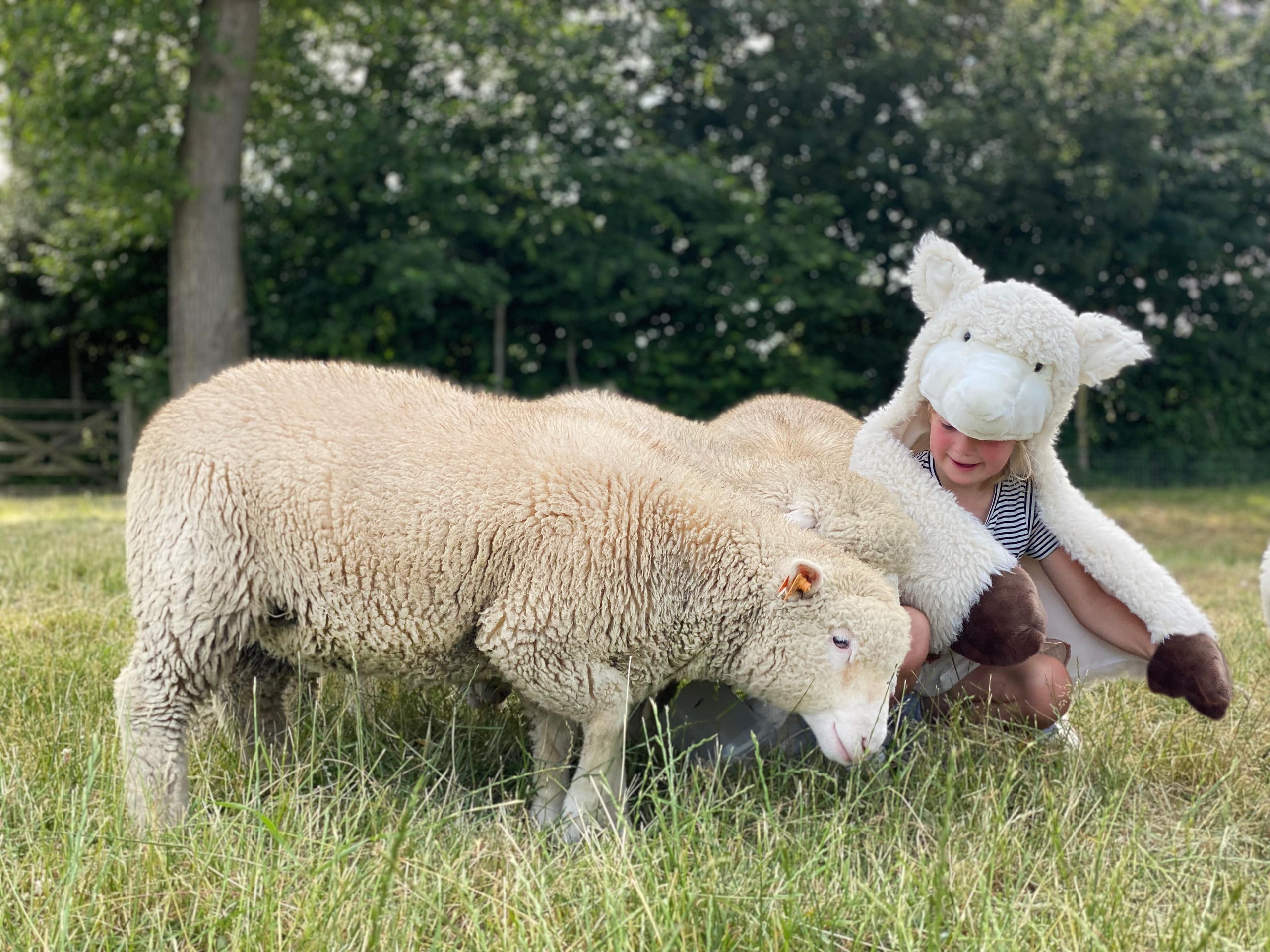 Déguisement d'enfant en mouton WILD & SOFT - Wild & Soft