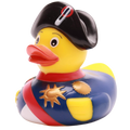 Kaczka Napoleona Bonaparte