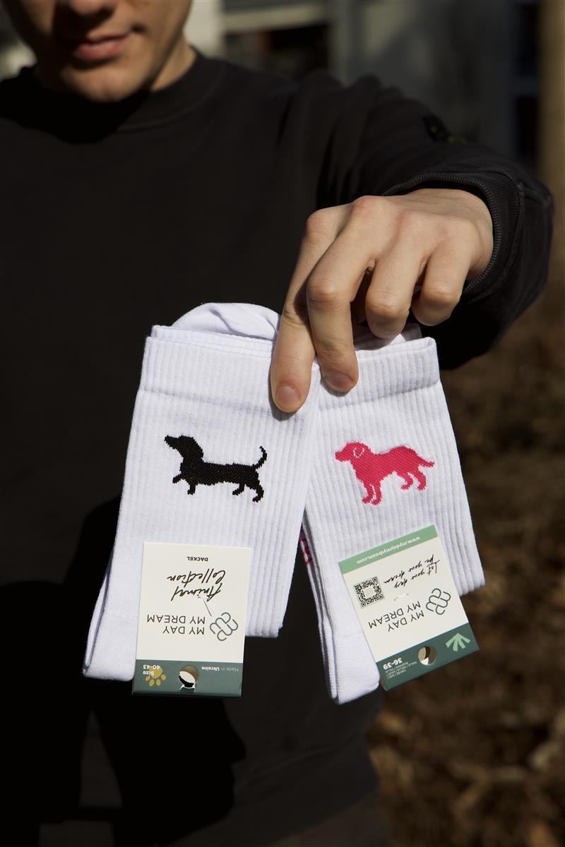 Chaussettes « Labrador »