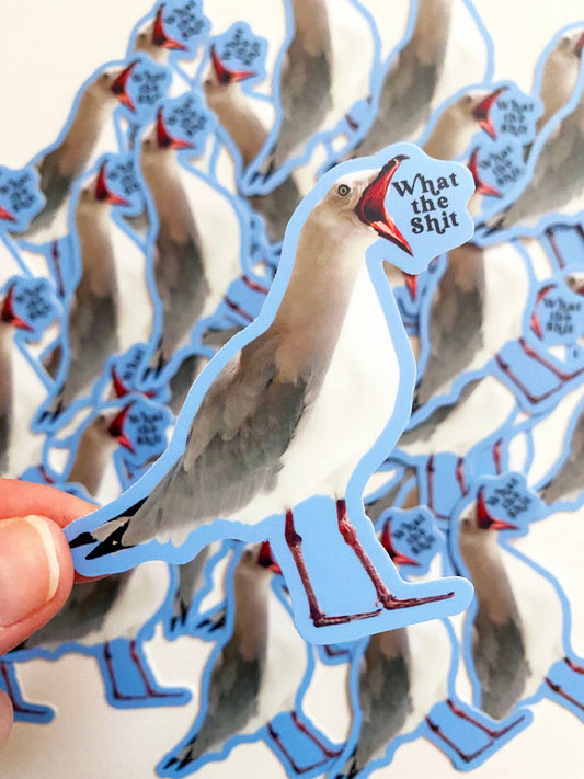 Nálepka s rackem „Co je to do prdele“