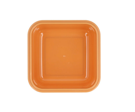 Boîte à Déjeuner Savane