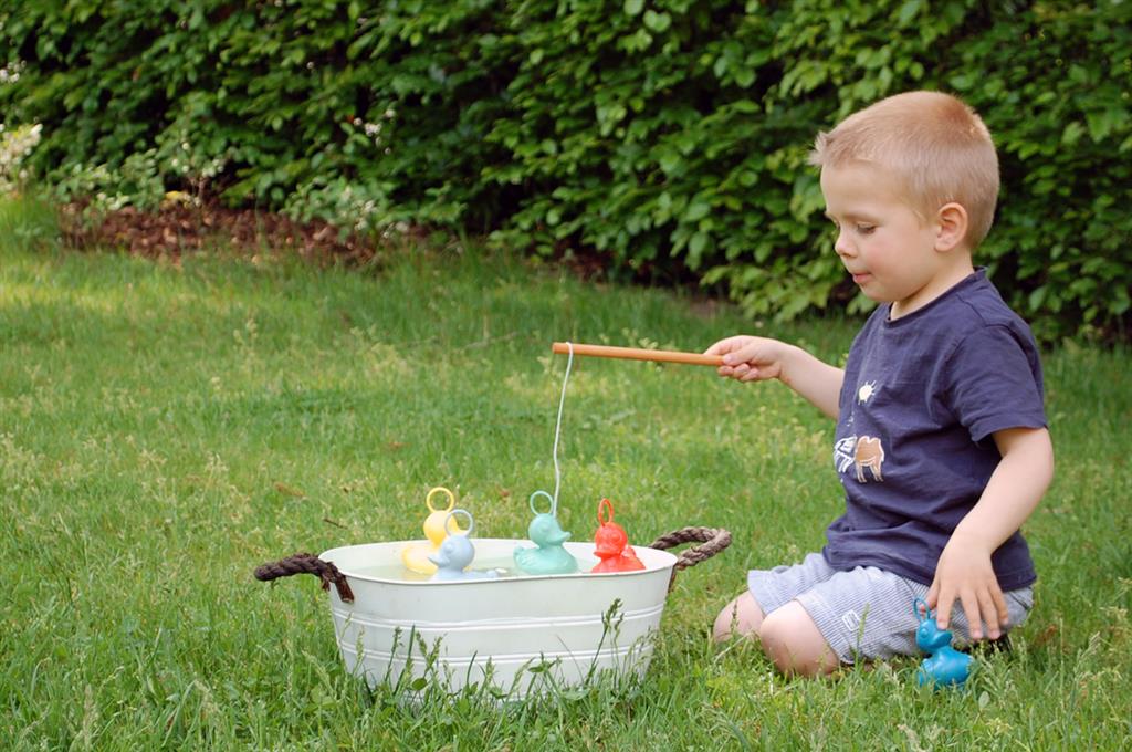 Fishing Ducks Box - ECO