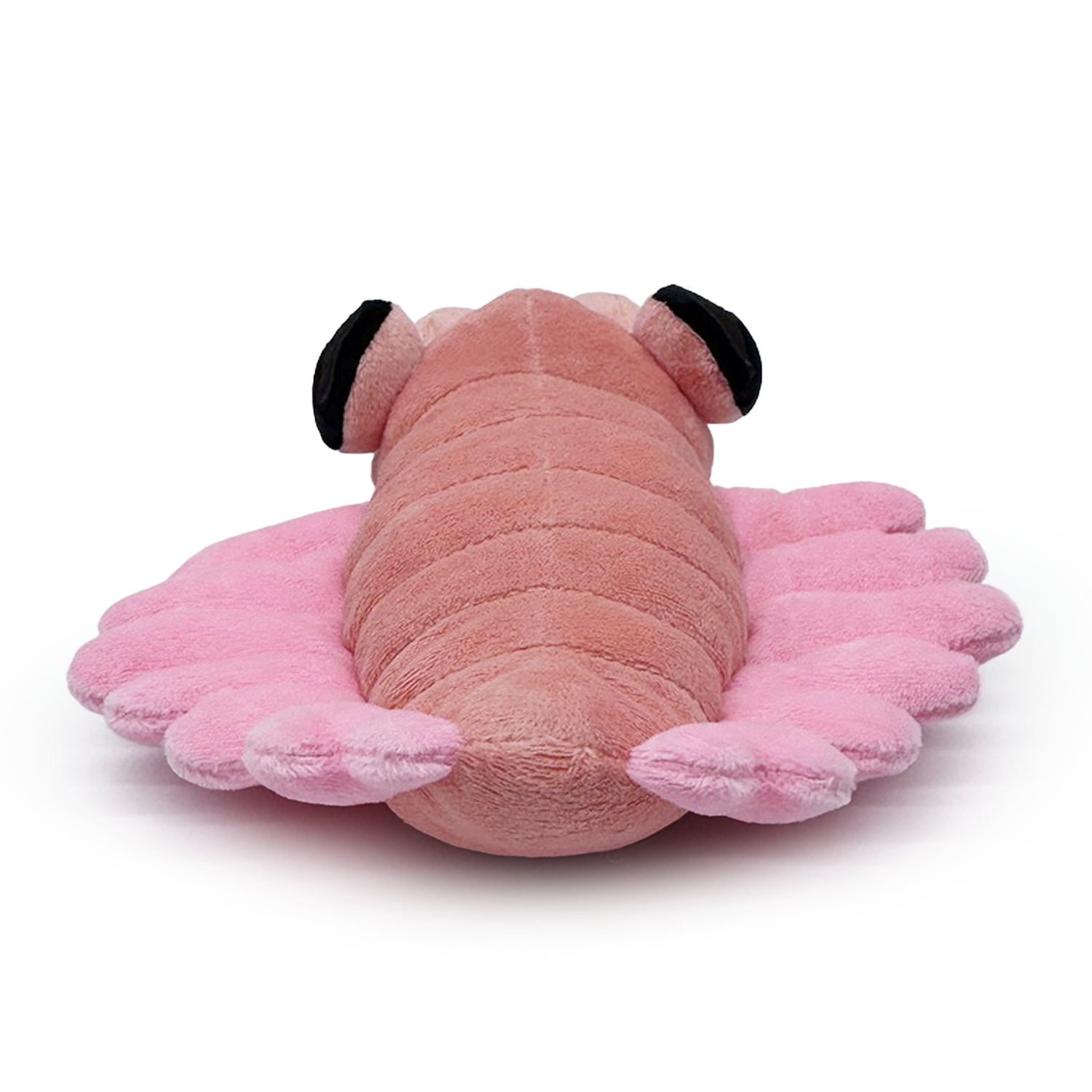 Anomalocaris Plush (9in)