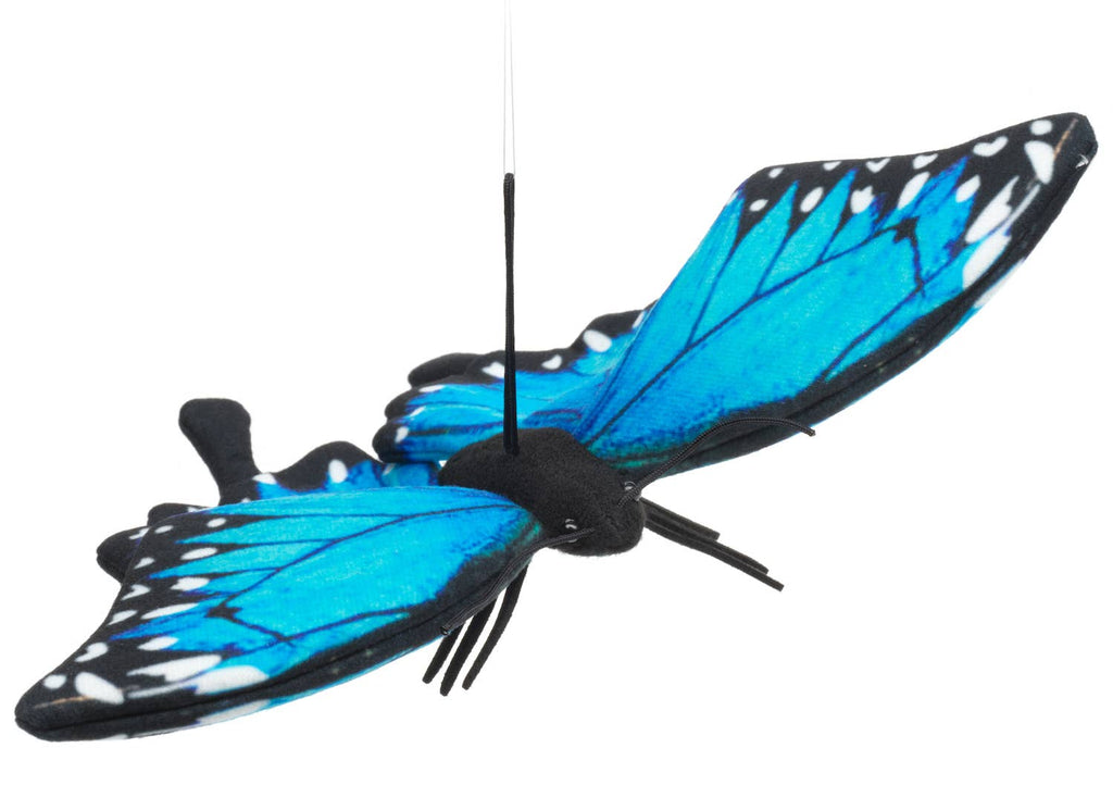 Papillon bleu (avec boucle) - 26 cm (largeur) Uni Toys