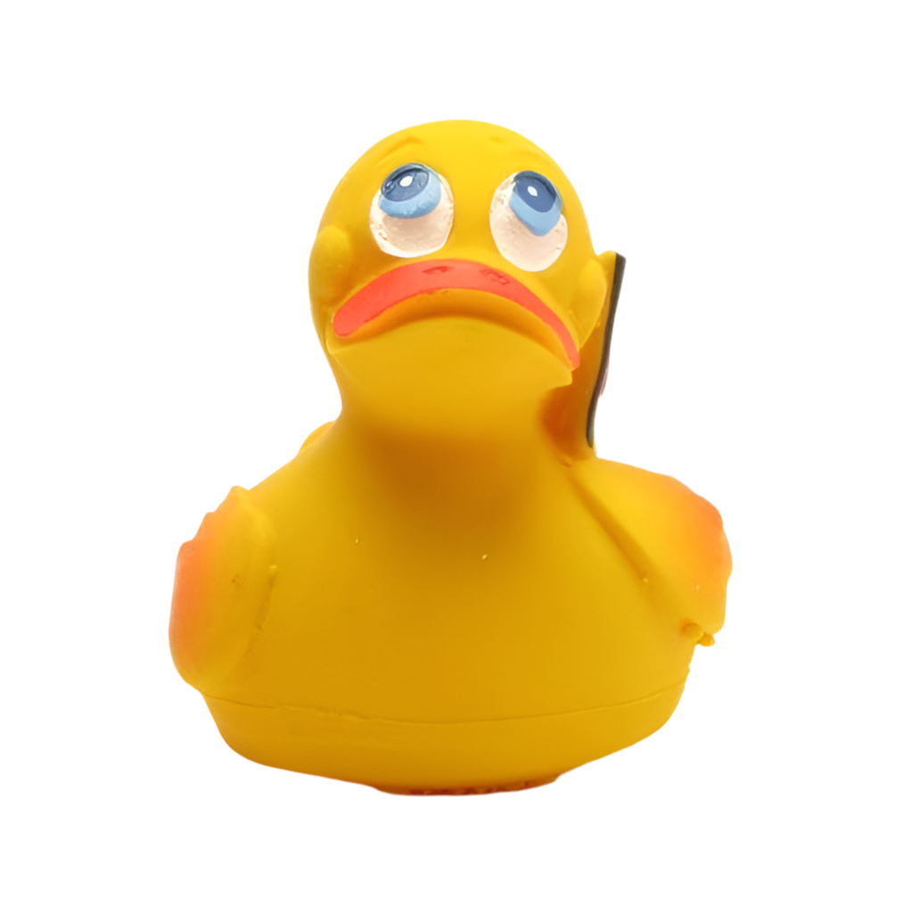 Duck Germany